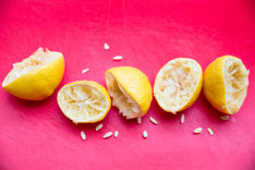 Nenahraditeľný pomocník v kuchyni - citrón. Poznáte všetky spôsoby jeho využitia?
